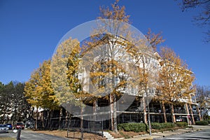 A gorgeous autumn landscape with yellow and red trees, lush green trees in front of an apartment buildings with parked cars