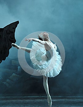 Gorgeous Ballet Dancer in Swan Lake