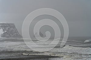 Gorgeous blacksand beaches in Dyrholaey, Iceland photo