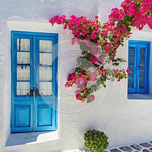 A gorgeous bougainvellia on e white house wall with blue windows and door