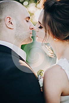 Gorgeous bride and groom gently kissing in sunset light. Portraits of beautiful tender wedding couple embracing in warm sunshine