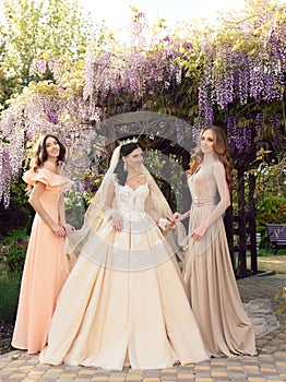 Gorgeous bride in luxurious wedding dress, posing with beautiful bridesmaids in elegant dresses