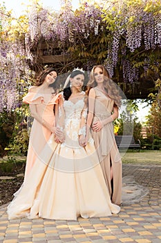 Gorgeous bride in luxurious wedding dress, posing with beautiful bridesmaids in elegant dresses