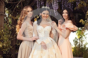 Gorgeous bride in luxurious wedding dress, posing with beautiful bridesmaids in elegant dresses