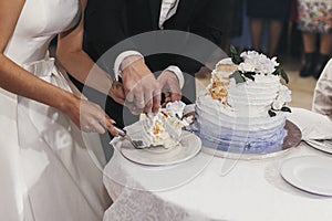 Gorgeous bride and stylish groom cutting their stylish wedding cake with flower decoration at wedding reception in restaurant.