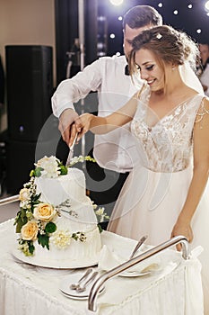 Gorgeous bride and stylish groom cutting together white wedding