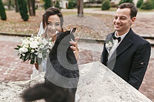 Gorgeous bride and stylish groom  playing with cute black and white cat in european city street in autumn. happy wedding couple