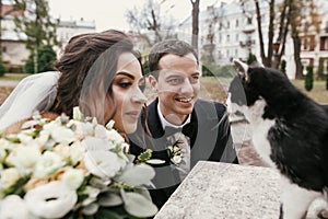 Gorgeous bride and stylish groom  playing with cute black and white cat in european city street in autumn. happy wedding couple