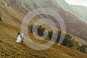 Gorgeous bride and stylish groom posing at sunny landscape, boh