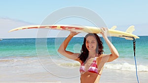 Gorgeous brunette going to surf