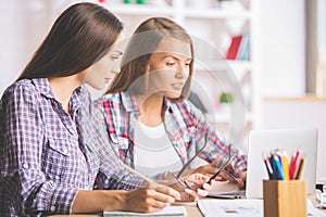 Gorgeous businesswomen working on project