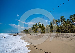 Gorgeous Caribbean beach. Costeno beach on the Caribbean coast of Colombia