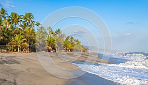 Gorgeous Caribbean beach. Costeno beach on the Caribbean coast of Colombia