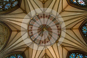 Gorgeous ceiling of the Chapter house of York Minster Cathedral in Yorkshire, England