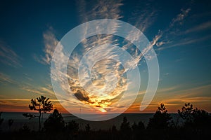 Gorgeous colorful sunset on cloudy blue sky in field and forests, beauty in nature