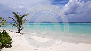 Gorgeous colorful tropical landscape. Maldives, Indian Ocean.White sand beach. Turquoise water, blue sky with snow white clouds.