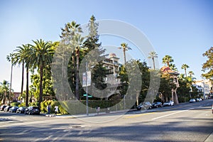 A gorgeous day along Raymond Ave with a man and a woman standing on the corner of surrounded by lush green trees, grass and plants