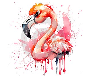 Gorgeous exotic pink flamingo with flowers isolated on white background.