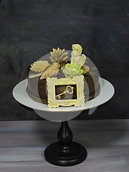 Gorgeous extra chocolate cake with succulents and an angel