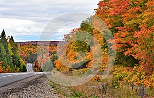 Gorgeous fall sugar maple trees seen travelling along the highway