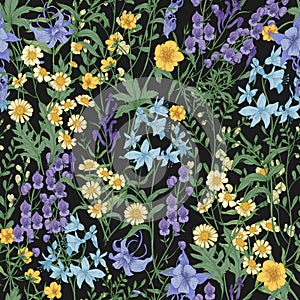 Gorgeous floral pattern with wild blooming flowers and meadow flowering plants on black background. Beautiful backdrop