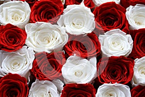 Gorgeous flower arrangement of red and white roses