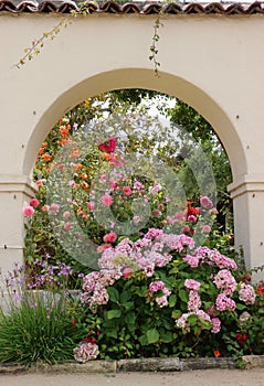 Gorgeous flowers create a riot of vibrant colors n the archway of an old, white stucco wall.