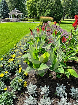 Gorgeous flowers at Smith Park in Menasha, Wisconsin