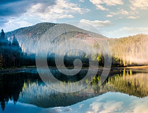 Gorgeous foggy sunrise on the lake in forest