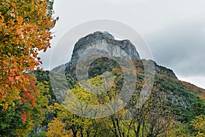 Gorgeous forest in Hecho Valley  Aragonese pyrenees  Huesca province  Spain photo