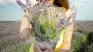 Gorgeous Girl in Lavender field