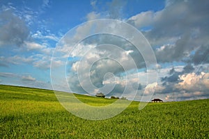 Gorgeous green meadow.