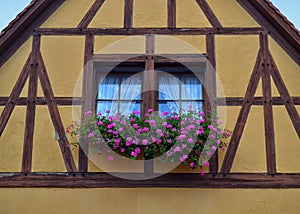 Gorgeous Half-Timbered House in Germany