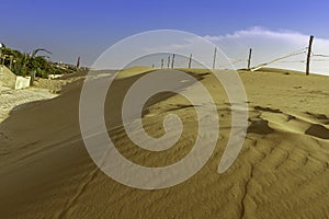 Gorgeous immense natural pure sandunes at Sampieri beach in Sicily in a summer sunny windy day photo