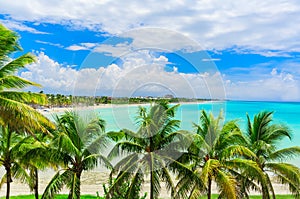 Gorgeous inviting view from tropical garden on Cuban Varadero beach, tranquil turquoise tender ocean against blue sky background