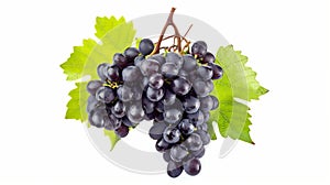 Gorgeous Kyoho Grape Cluster & Elegant Black Wine Grape: Exquisite Isolated Fruits Captured in High-