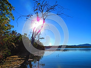 MinaÃÂ§u Lake photo