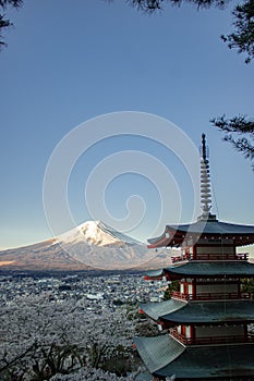 Gorgeous landscape from a pagoda