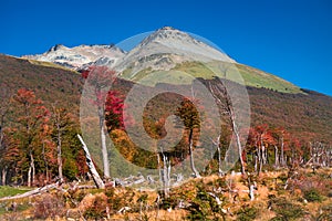 Gorgeous landscape of Patagonia`s Tierra del Fuego National Park