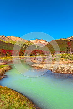 Gorgeous landscape of Patagonia& x27;s Tierra del Fuego National Park