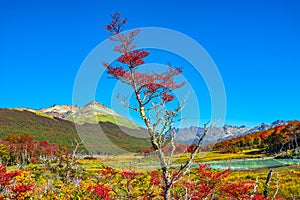 Gorgeous landscape of Patagonia`s Tierra del Fuego National Park