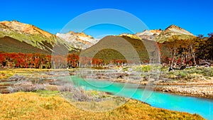 Gorgeous landscape of Patagonia`s Tierra del Fuego National Park photo