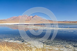 Gorgeous landscapes of Sur Lipez, South Bolivia