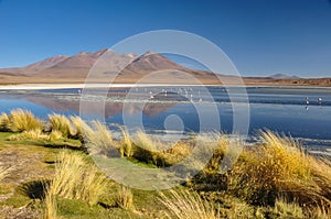 Gorgeous landscapes of Sur Lipez, South Bolivia photo