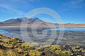 Gorgeous landscapes of Sur Lipez, South Bolivia