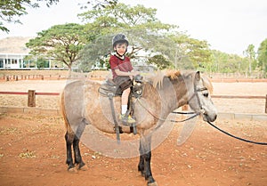 Gorgeous Little boy riding horse