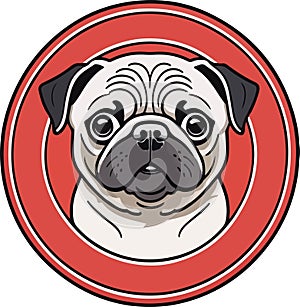 Gorgeous and lovely pug carlino dog vector