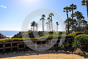 Gorgeous lush green plants and trees with red flowers, palm trees and ocean views with blue sky at Treasure Island Park