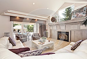 Gorgeous luxury furnished family room interior