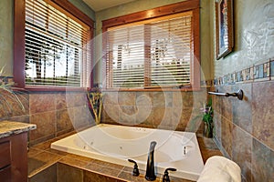 Gorgeous master bathroom with marble clad tub. photo